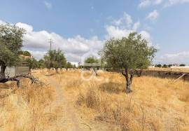Land Elvas Land Elvas