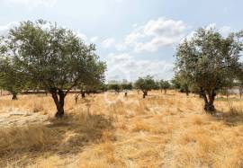 Land Elvas Land Elvas
