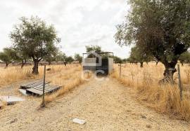 Land Elvas Land Elvas