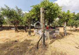 Land Elvas Land Elvas