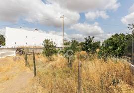 Land Elvas Land Elvas