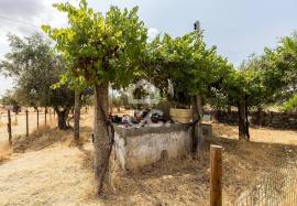 Land Elvas Land Elvas