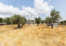 Land Elvas Land Elvas