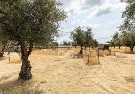Land Elvas Land Elvas