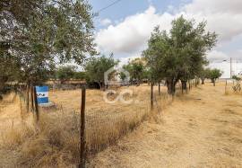 Land Elvas Land Elvas