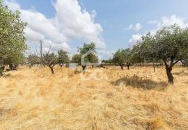 Land Elvas Land Elvas