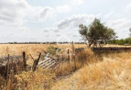 Land Elvas Land Elvas