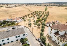 Land Elvas Land Elvas