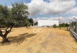 Land Elvas Land Elvas