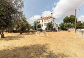 Land Elvas Land Elvas