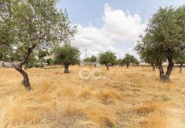 Land Elvas Land Elvas