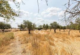 Land Elvas Land Elvas