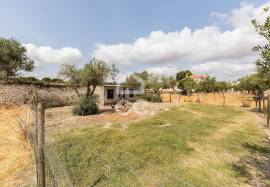 Land Elvas Land Elvas