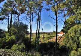 SUPERB INVESTMENT OPPORTUNITY algarve SUPERB INVESTMENT OPPORTUNITY algarve
