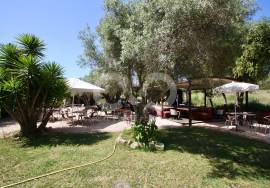 Stunning Commercial Property - Aljezur Stunning Commercial Property - Aljezur
