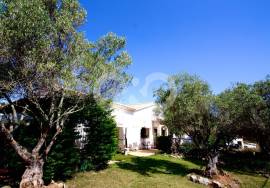 Stunning Commercial Property - Aljezur Stunning Commercial Property - Aljezur