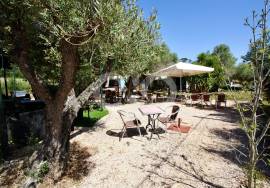 Stunning Commercial Property - Aljezur Stunning Commercial Property - Aljezur