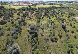 2.8 Hectares of Land with building permission and project 5minutes from the centre of Luz
