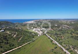 2.8 Hectares of Land with building permission and project 5minutes from the centre of Luz