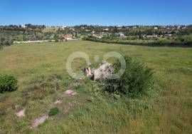 2.8 Hectares of Land with building permission and project 5minutes from the centre of Luz