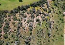 2.8 Hectares of Land with building permission and project 5minutes from the centre of Luz