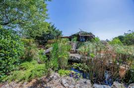 Charming Algarve Country Home with Swimming Pool, Fish Pond & Beautiful Gardens near São Brás de Alportel Charming Algarve Country Home with Swimming Pool, Fish Pond & Beautiful Gardens near São Brás de Alportel
