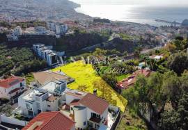 3,270 sqm Plot in Funchal – Excellent Investment Opportunity