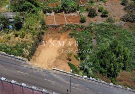 Land with Open Views and Excellent Sun Exposure in Ribeira Brava