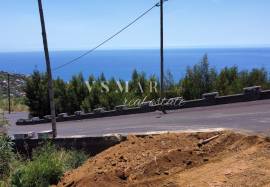 Land with Open Views and Excellent Sun Exposure in Ribeira Brava
