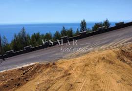 Land with Open Views and Excellent Sun Exposure in Ribeira Brava