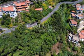 2,160 m² Rustic Land in Monte – Perfect for Agriculture and Sustainable Projects