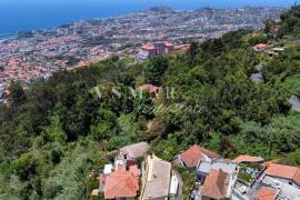 2,160 m² Rustic Land in Monte – Perfect for Agriculture and Sustainable Projects