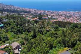 2,160 m² Rustic Land in Monte – Perfect for Agriculture and Sustainable Projects