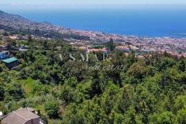 2,160 m² Rustic Land in Monte – Perfect for Agriculture and Sustainable Projects