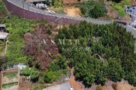 Land with Open Views and Excellent Sun Exposure in Ribeira Brava
