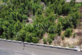 Land with Open Views and Excellent Sun Exposure in Ribeira Brava