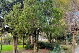 Excellent 8 Bed Villa for Sale In Montesilvano Colle Abruzzo Italy Excellent 8 Bed Villa for Sale In Montesilvano Colle Abruzzo Italy