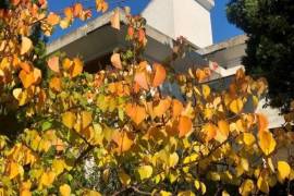 Excellent 8 Bed Villa for Sale In Montesilvano Colle Abruzzo Italy Excellent 8 Bed Villa for Sale In Montesilvano Colle Abruzzo Italy