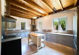 Fantastic House in São Brás
