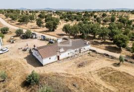 Farmhouse Estremoz São Bento do Ameixial
