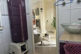 Stunning 5 Bed House For Sale In Saint Jean les deux Jumeaux France Stunning 5 Bed House For Sale In Saint Jean les deux Jumeaux France