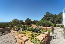 Santa Bárbara de Nexe - Traditional renovated 3-bedroom villa