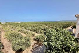 listing listing