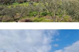 Excellent Plot of land for sale in Agios Theodoros Larnaca Cyprus Excellent Plot of land for sale in Agios Theodoros Larnaca Cyprus