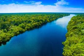 Excellent Plot of land for sale in Amazon Rainforest Brazil