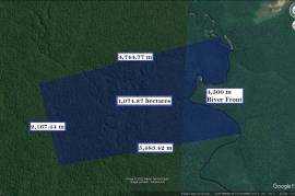 Excellent Plot of land for sale in Amazon Rainforest Brazil