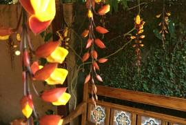 Aratinga Inn For Sale in ILHA GRANDE Rio De Janeiro Brazil