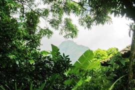 Aratinga Inn For Sale in ILHA GRANDE Rio De Janeiro Brazil