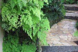 Aratinga Inn For Sale in ILHA GRANDE Rio De Janeiro Brazil