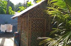 Arty Party Beach Hostel for Sale in Solangon San Juan Philippines Arty Party Beach Hostel for Sale in Solangon San Juan Philippines